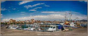 Port of Aegina island Athens Day Cruise