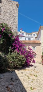 Hydra Island with Athens Day Cruise