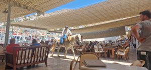 Hydra Island with Athens Day Cruise