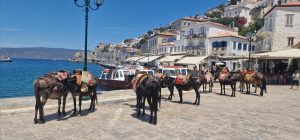 Hydra Island with Athens Day Cruise