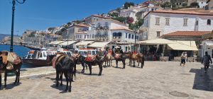 Hydra Island One Day Cruise